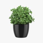 Artisanal Vase